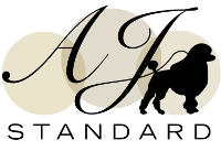 Small AJ Standard Logo