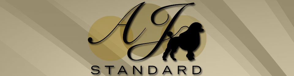 AJ Standard banner logo image